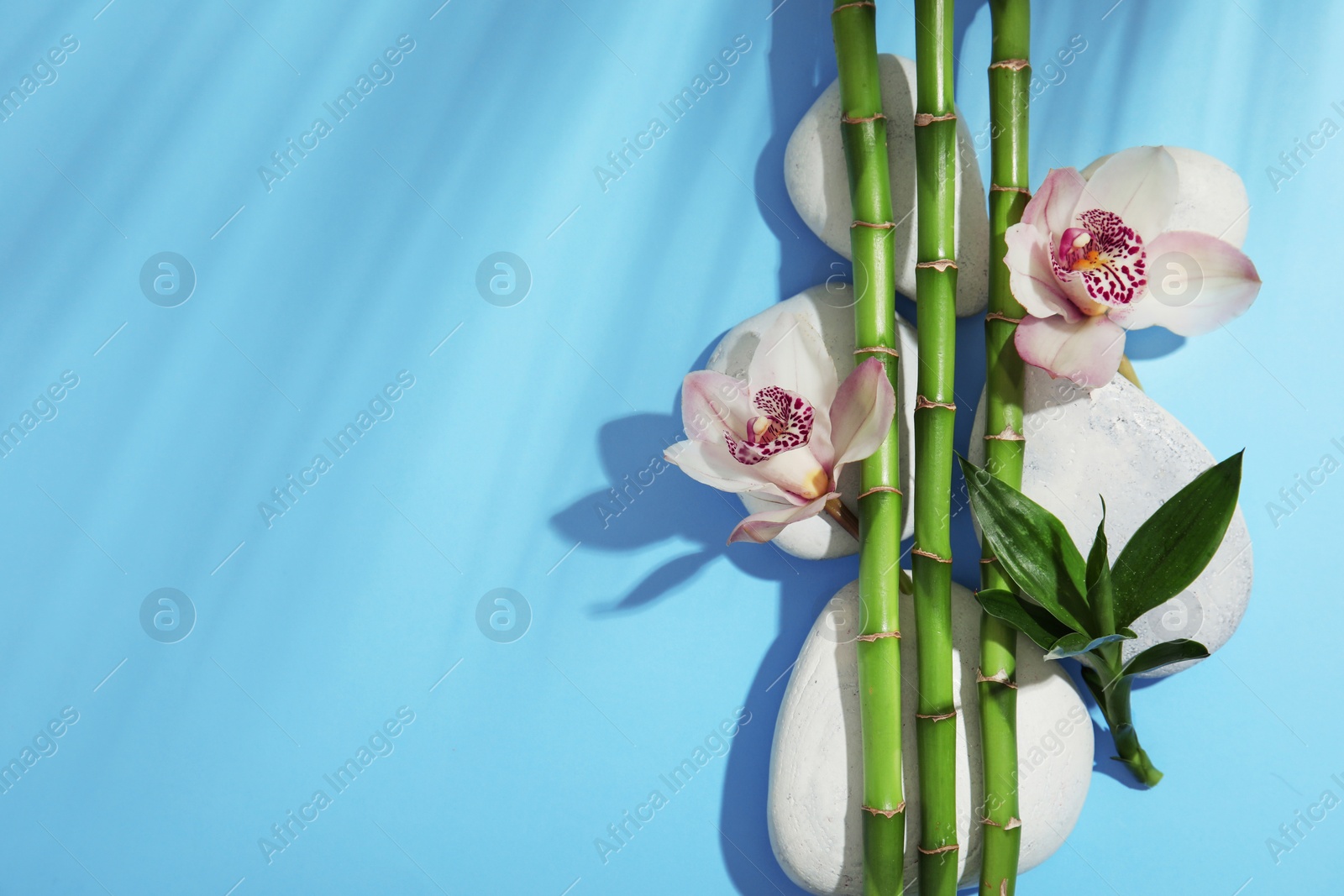 Photo of Composition with bamboo branches, flowers and spa stones on color background, top view. Space for text