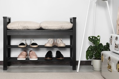 Hallway interior with shoe storage bench and houseplant