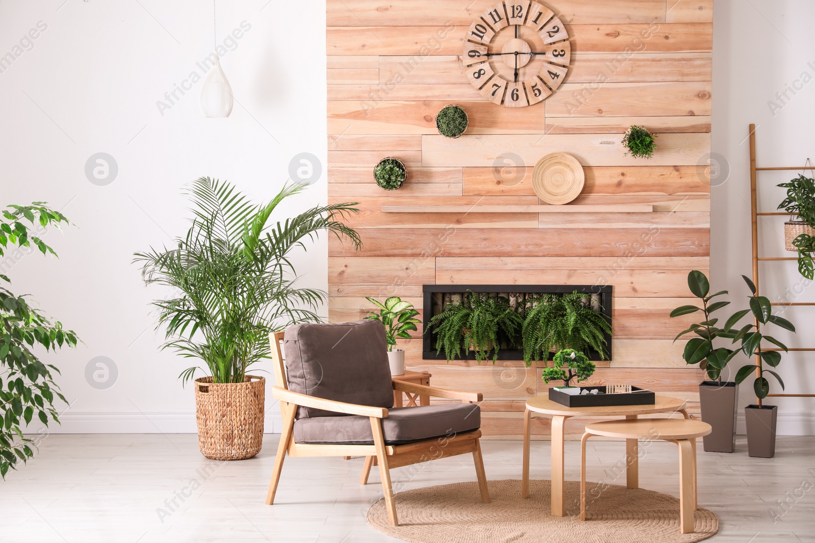 Photo of Stylish living room interior with armchair, green plants and miniature zen garden. Home design ideas