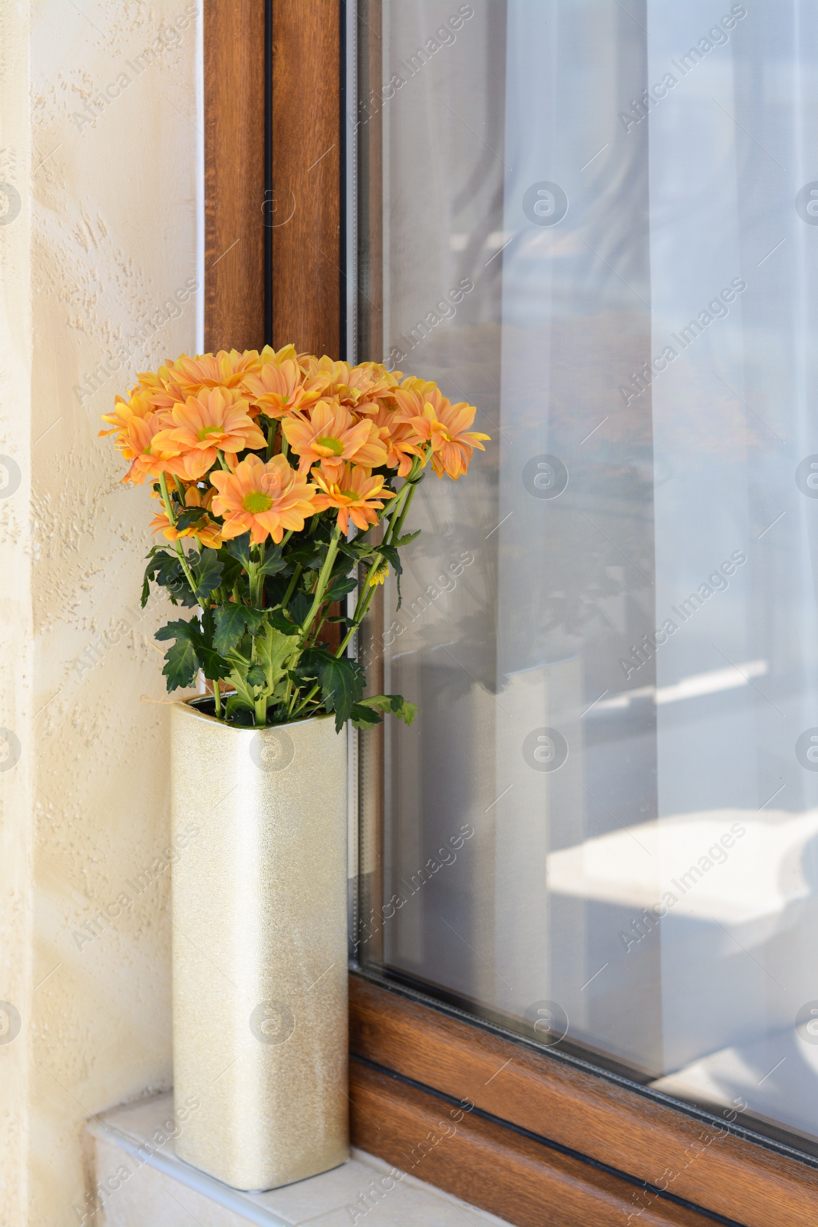 Photo of Bouquet of beautiful chrysanthemum flowers in vase near window outdoors