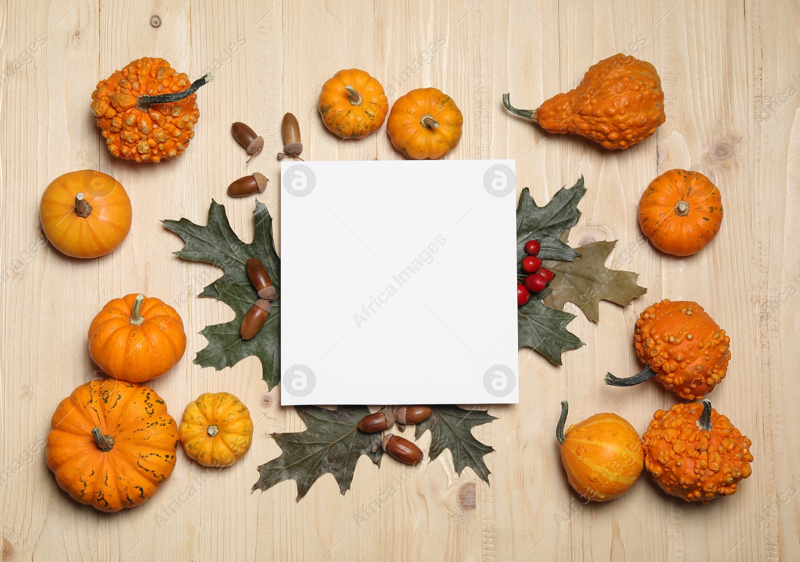 Photo of Thanksgiving day. Flat lay composition with pumpkins and blank card on light wooden table, space for text