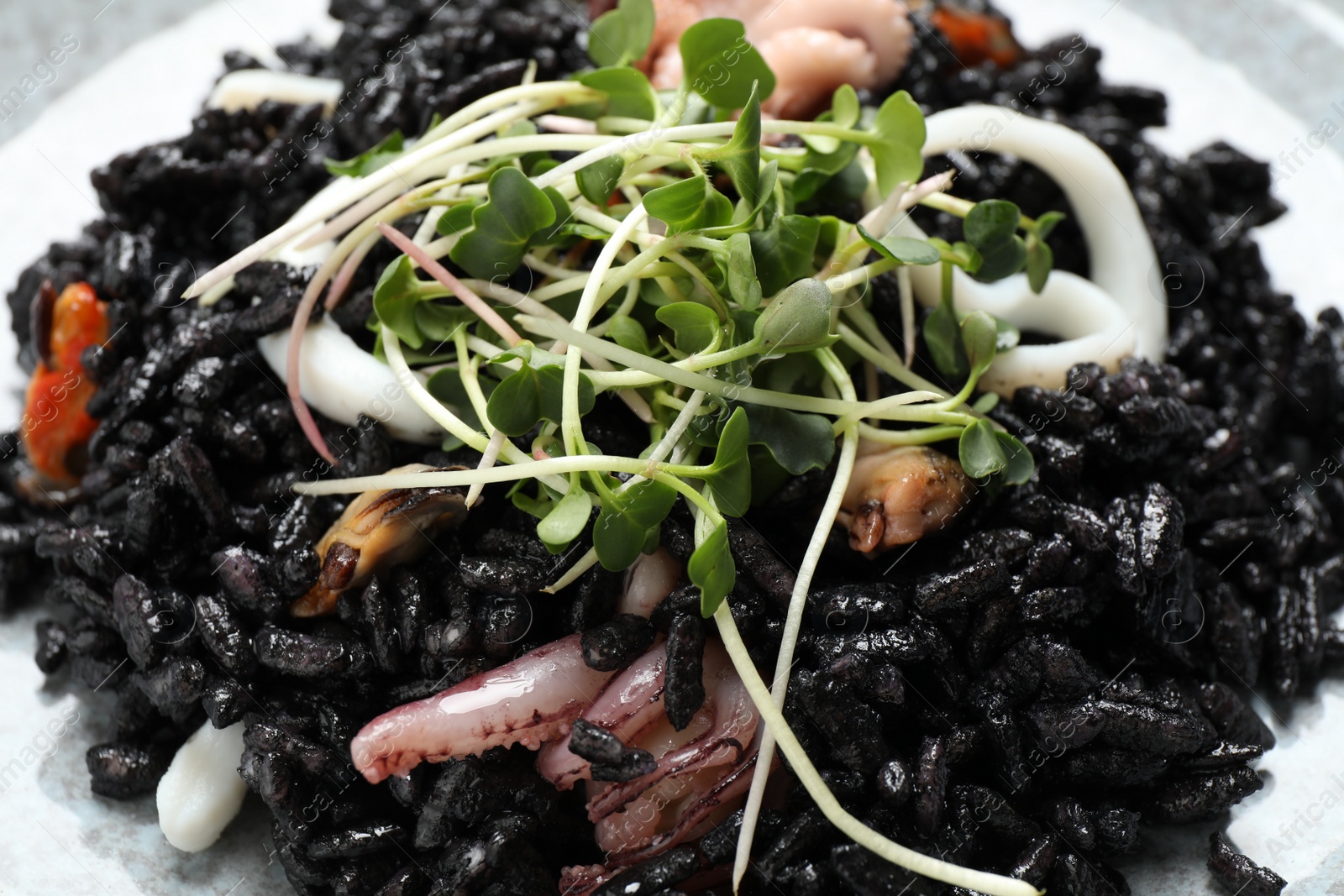 Photo of Delicious black risotto with seafood in plate, closeup