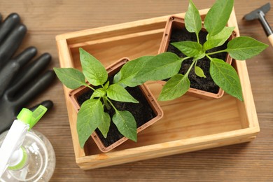 Seedlings growing in plastic containers with soil, spray bottle and gloves on wooden table, above view