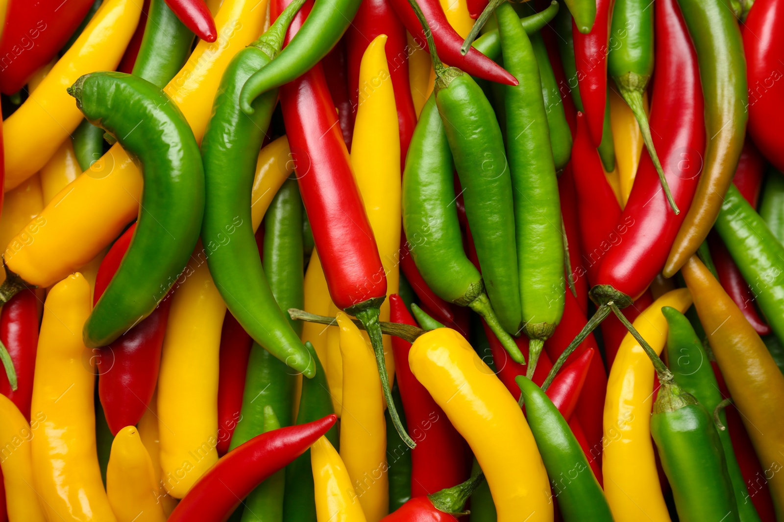 Photo of Ripe hot chili peppers as background, closeup