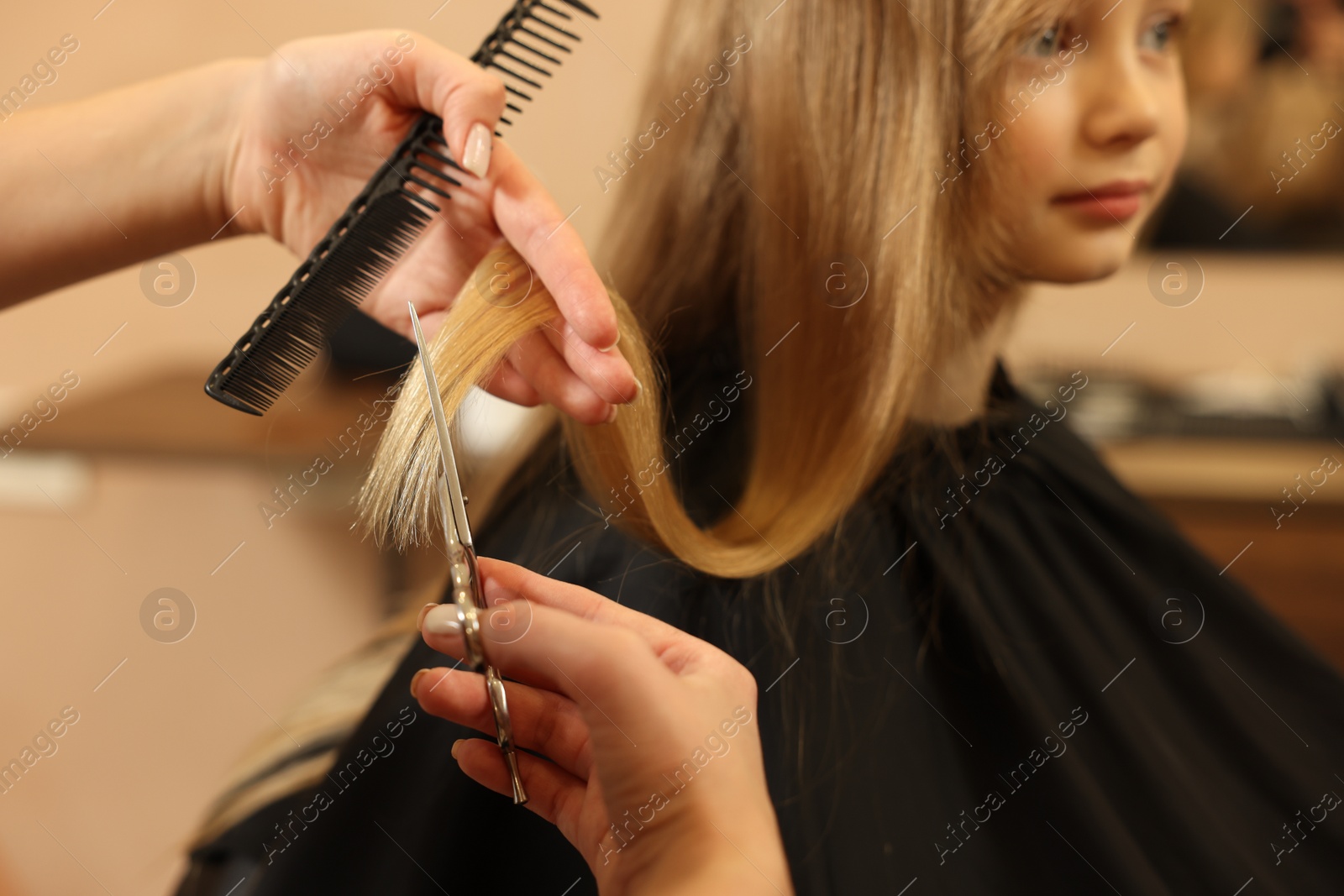 Photo of Professional hairdresser cutting girl's hair in beauty salon, closeup