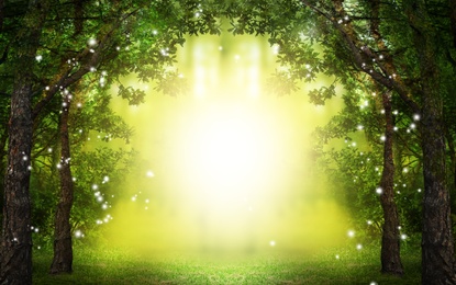 Image of Fantasy world. Enchanted forest with magic lights and sunlit way between trees