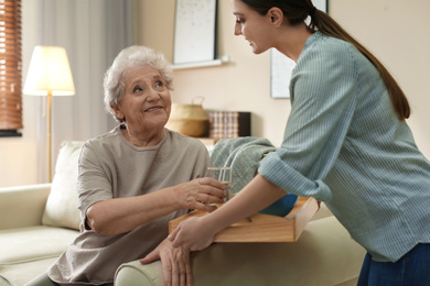 Photo of Young woman serving dinner for elderly woman in living room. Senior people care