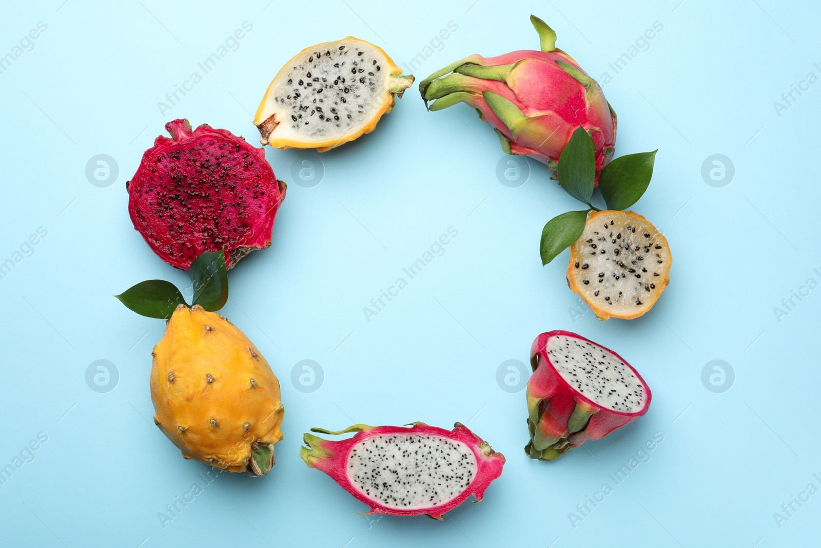 Photo of Frame of delicious cut and whole dragon fruits on light blue, flat lay. Space for text