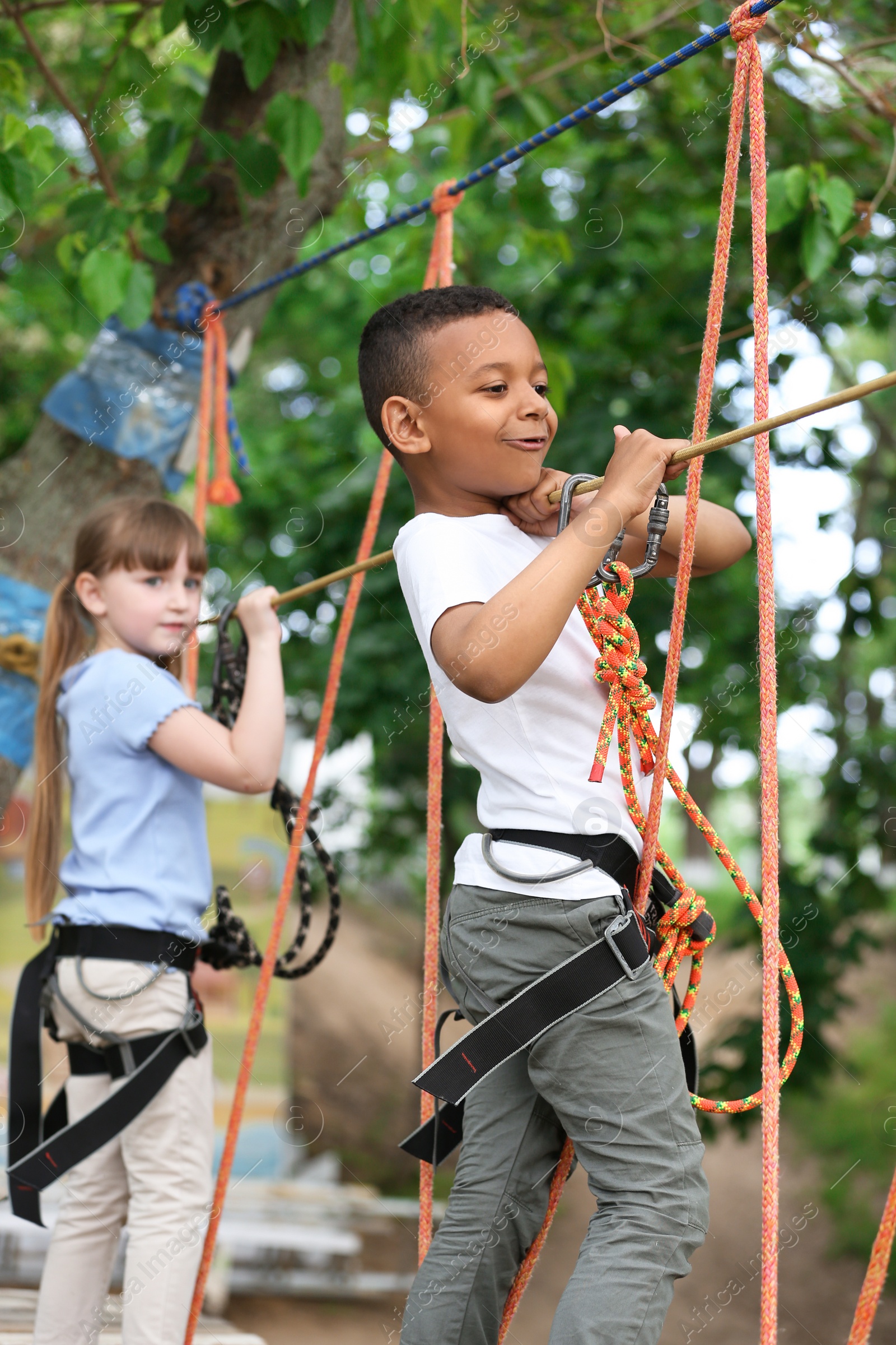 Photo of Little children climbing in adventure park. Summer camp