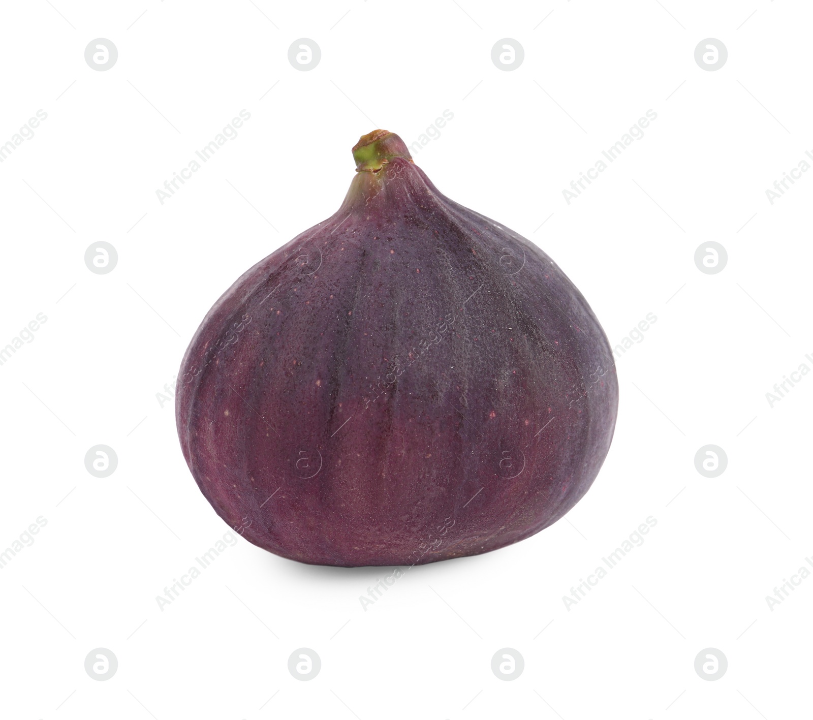 Photo of Whole ripe fresh fig isolated on white