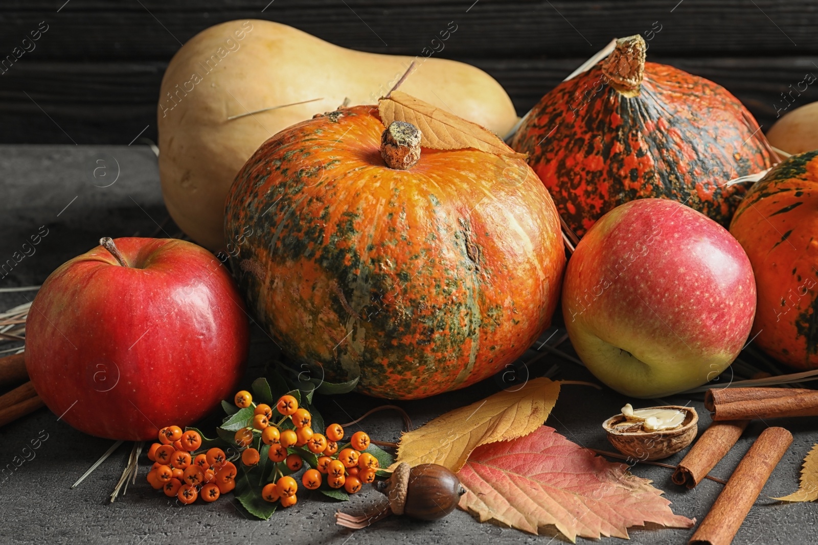 Photo of Composition with different pumpkins on gray table. Autumn holidays