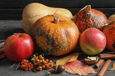 Composition with different pumpkins on gray table. Autumn holidays