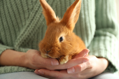 Photo of Young woman with adorable rabbit indoors, closeup. Lovely pet