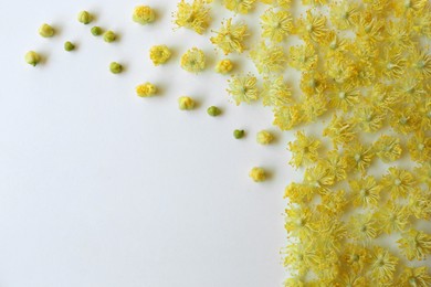 Photo of Beautiful linden blossoms on white background, flat lay. Space for text