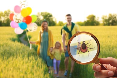 Image of Family spending time together outdoors and don't even suspect about hidden danger in green grass. Woman showing tick with magnifying glass, selective focus