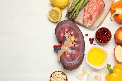 Photo of Flat lay composition with kidney model and different products on white wooden table, space for text