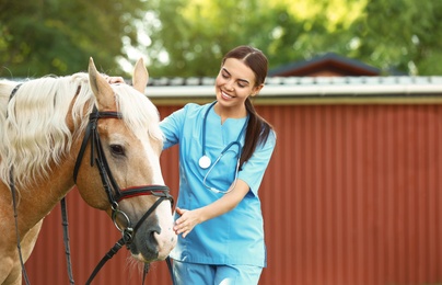 Photo of Young veterinarian with palomino horse outdoors on sunny day