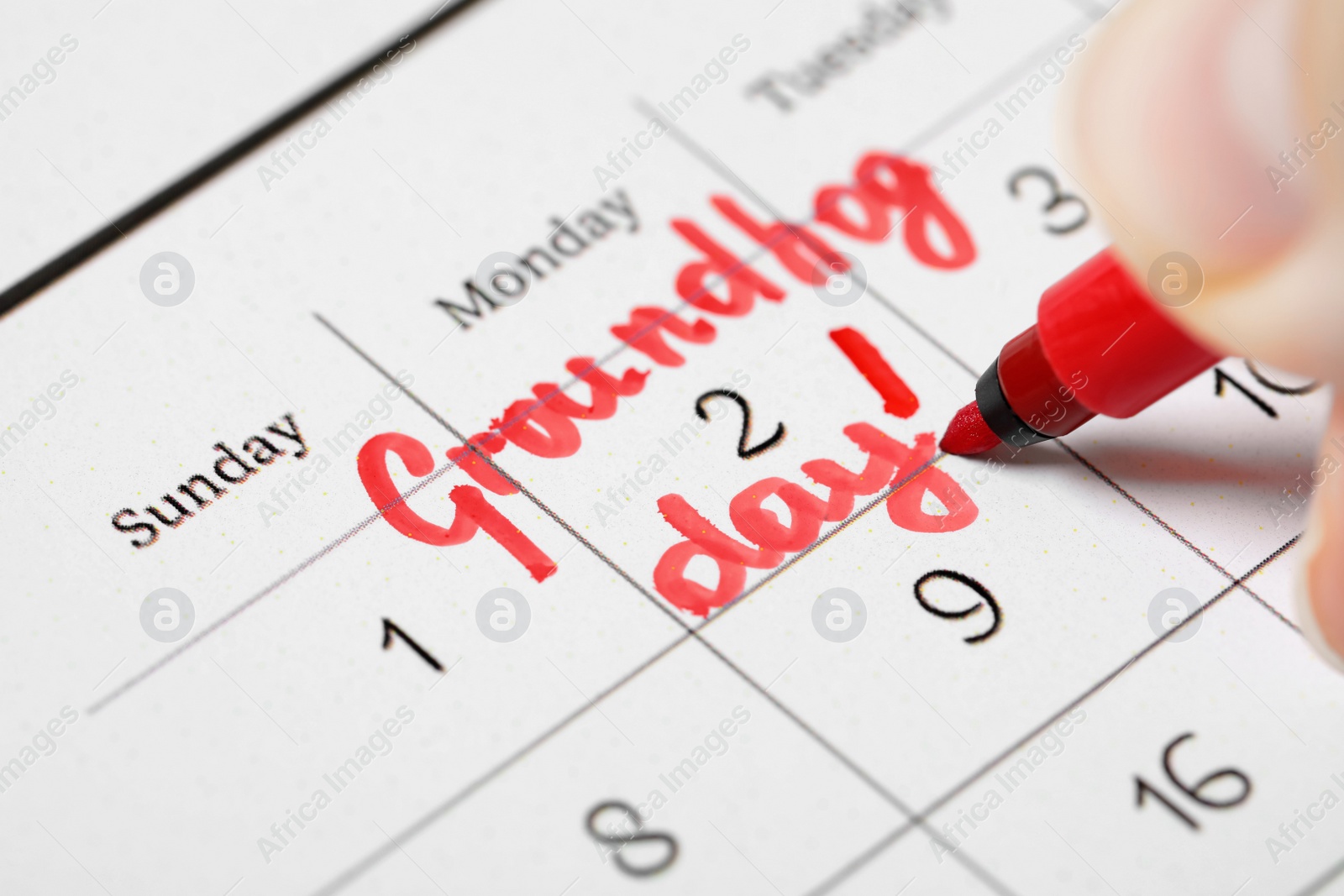 Photo of Woman marking date of Groundhog day in calendar, closeup