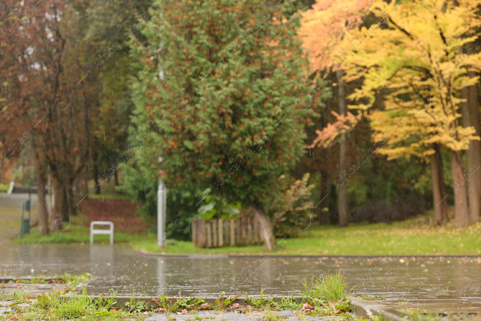 Photo of Beautiful view of pathway in autumn park on rainy day