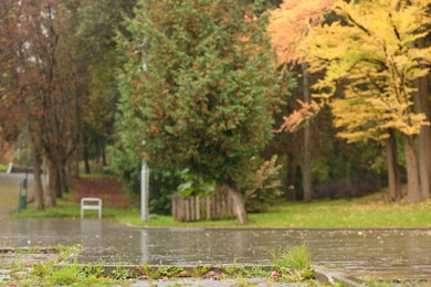 Photo of Beautiful view of pathway in autumn park on rainy day