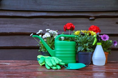 Photo of Beautiful blooming flowers, gloves and gardening tools on wooden table outdoors, space for text