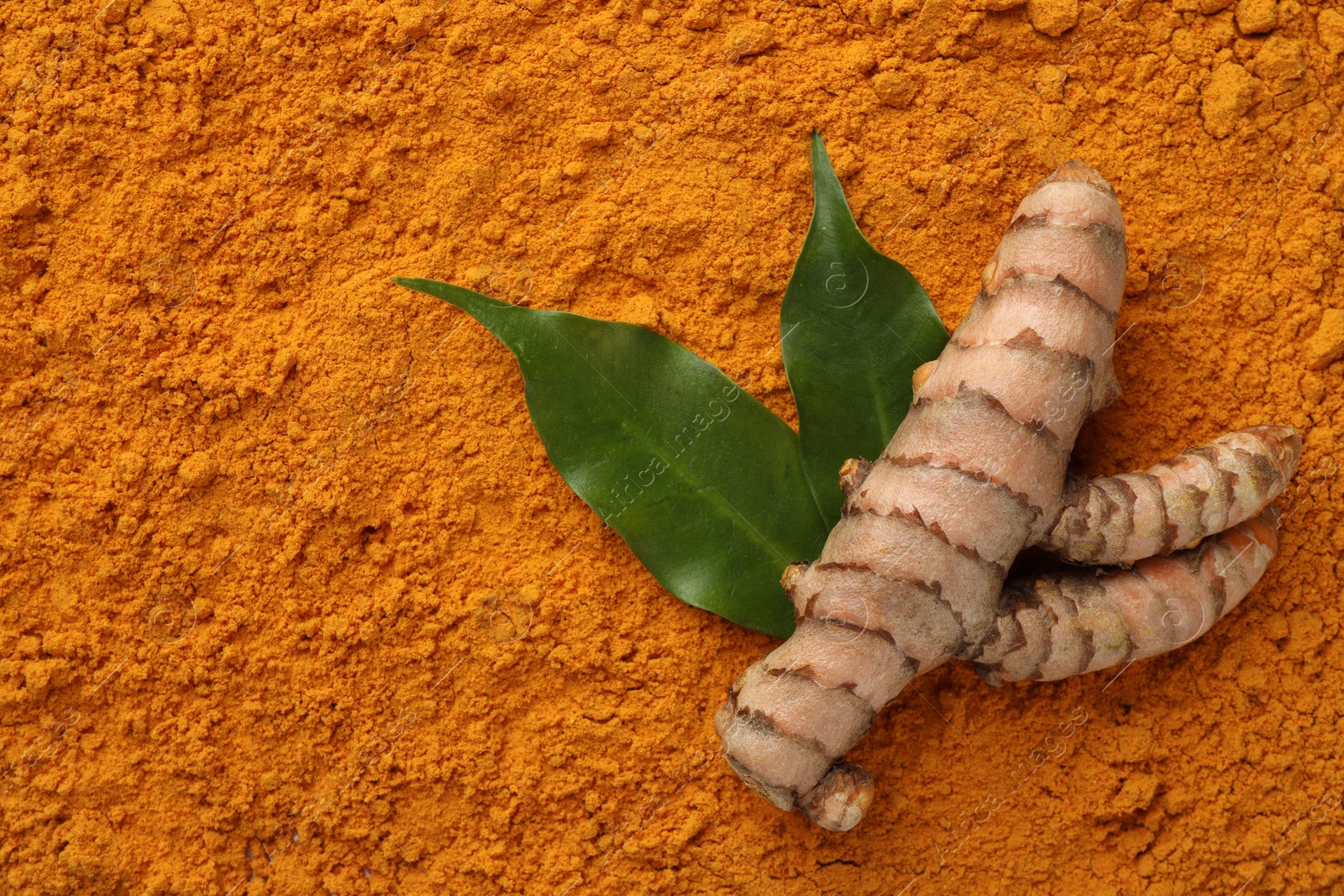 Photo of Raw root and leaves on aromatic turmeric powder, top view. Space for text