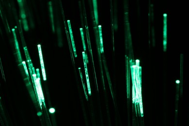 Photo of Optical fiber strands transmitting green light on black background, macro view