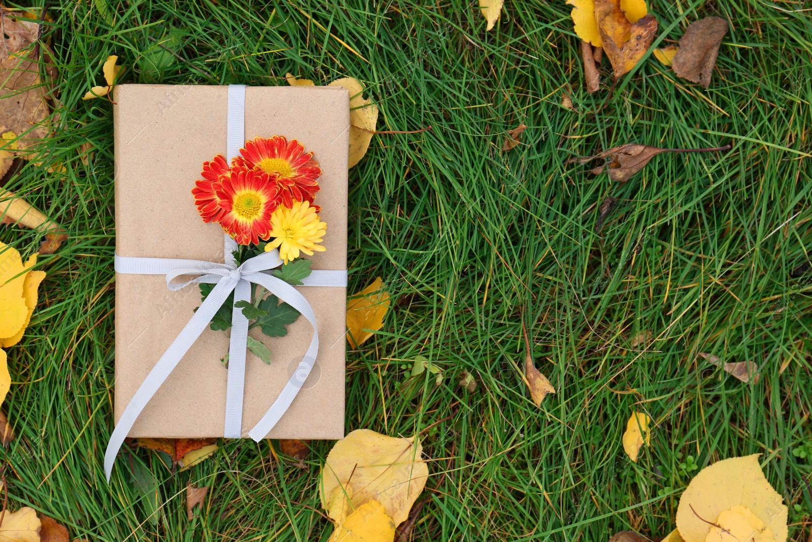 Photo of Book decorated with chrysanthemum flowers and yellow leaves on grass outdoors, top view. Space for text