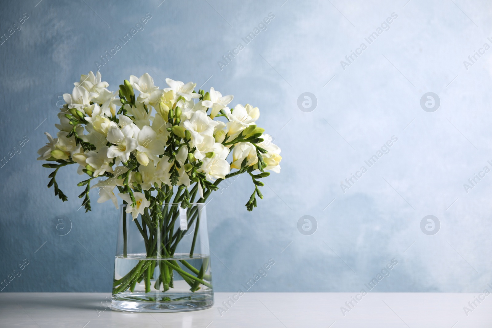 Photo of Beautiful freesia flowers in vase on white table. Space for text