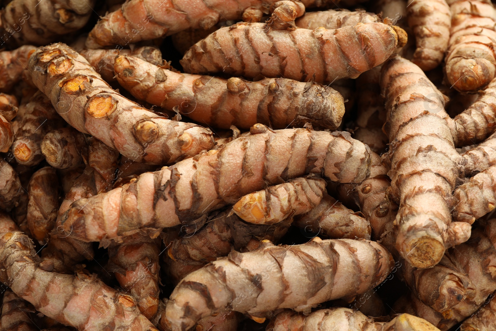 Photo of Many raw turmeric rhizomes as background, closeup