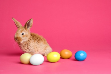 Photo of Adorable furry Easter bunny and dyed eggs on color background, space for text