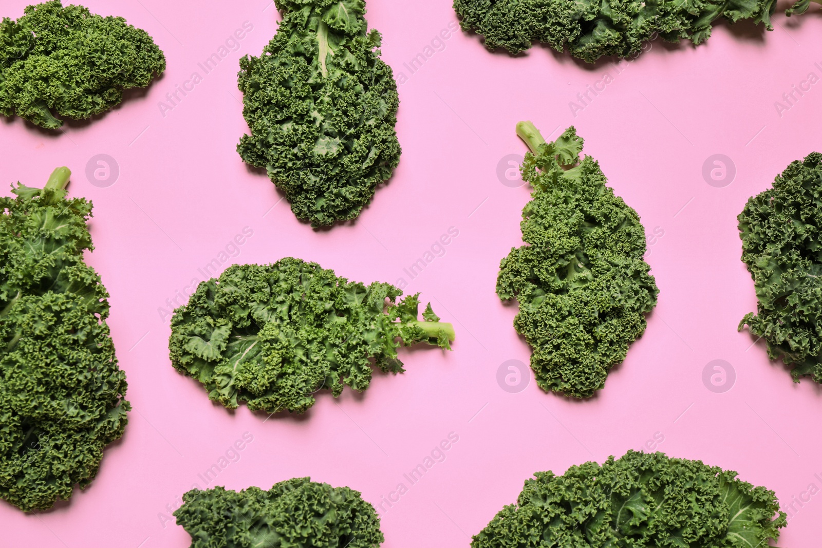 Photo of Fresh kale leaves on pink background, flat lay