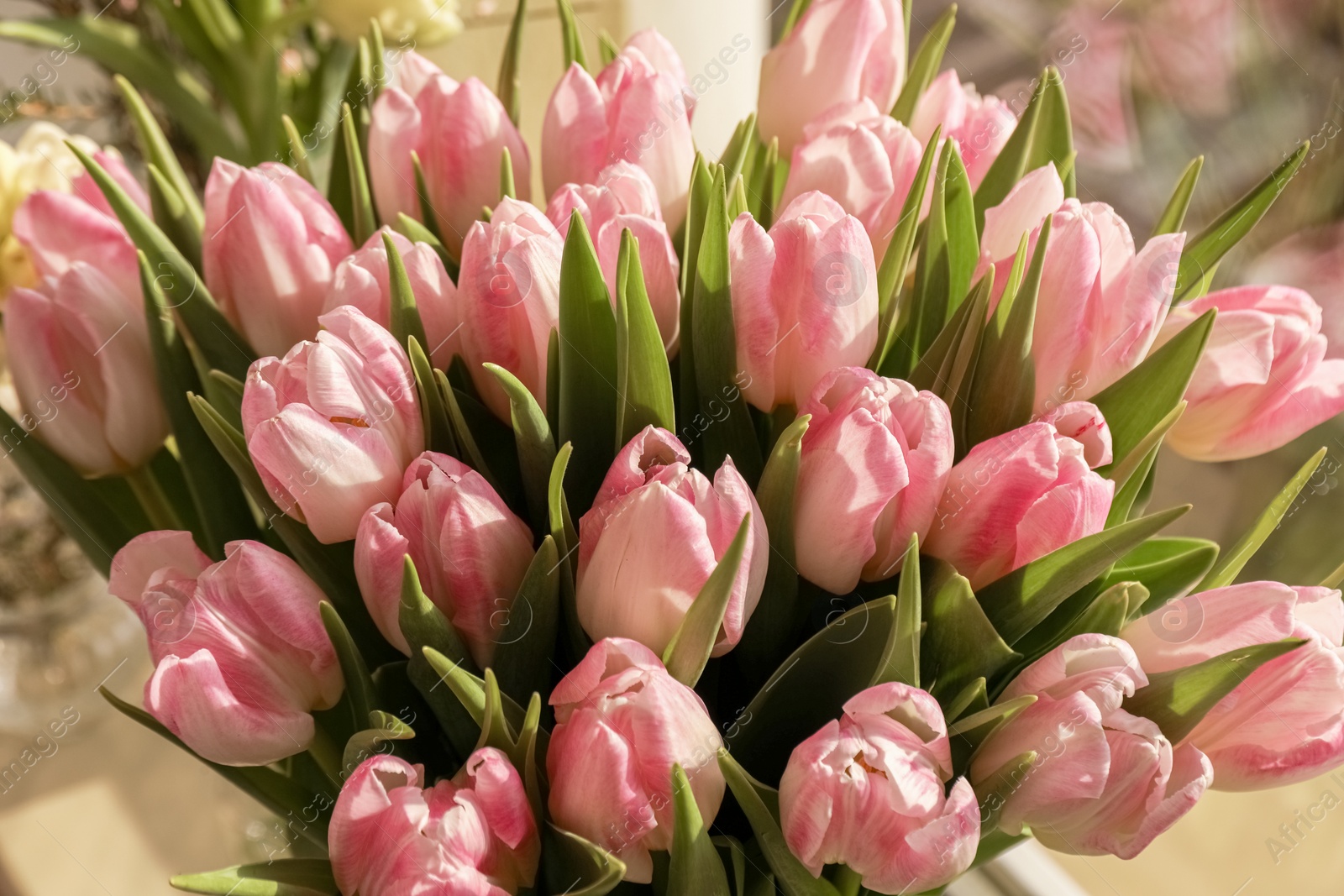 Photo of Spring is coming. Bouquet of beautiful tulip flowers, closeup