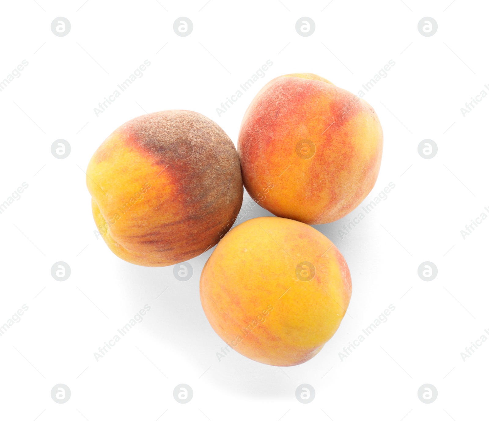 Photo of Fresh sweet peaches on white background