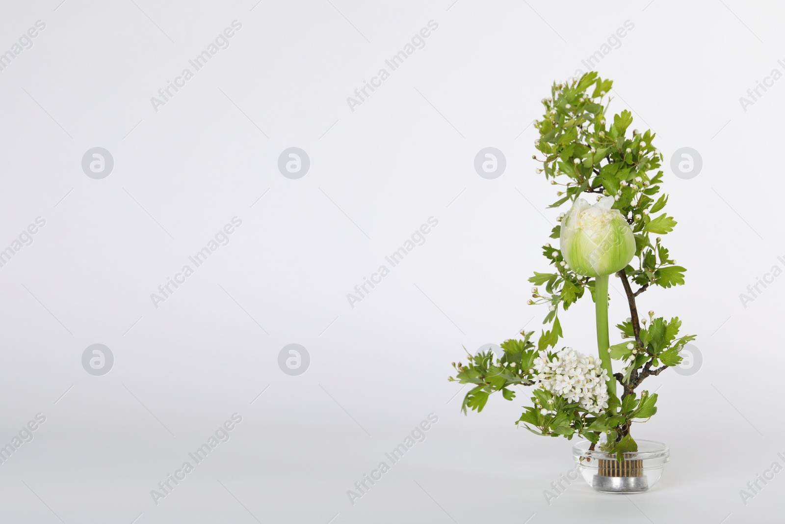 Photo of Beautiful ikebana for stylish house decor. Floral composition with fresh tulip flower and blooming branches on white background, space for text