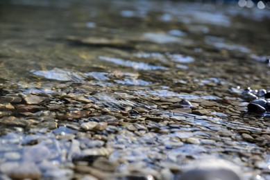 Photo of Stones and pebbles on bottom of river
