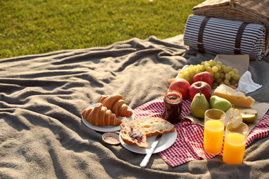 Picnic blanket with delicious food and juice outdoors on sunny day