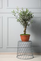 Photo of Olive tree in pot on coffee table near white wall indoors. Interior element