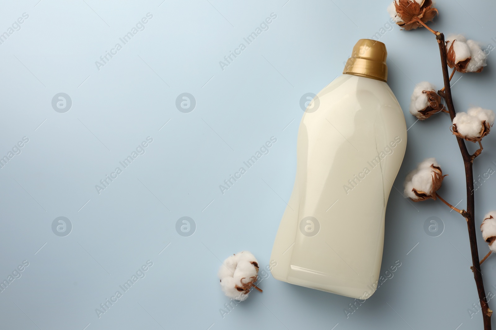 Bottle of fabric softener and fluffy cotton flowers on light background, flat lay. Space for text Photo of Bottle of fabric softener and fluffy cotton flowers on light background, flat lay. Space for text