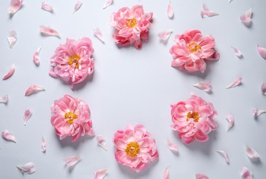 Photo of Flat lay composition with beautiful pink peonies on white background