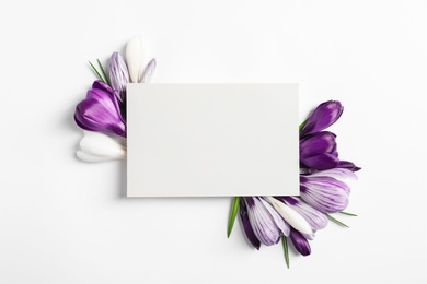 Photo of Beautiful spring crocus flowers and card on white background, top view. Space for text