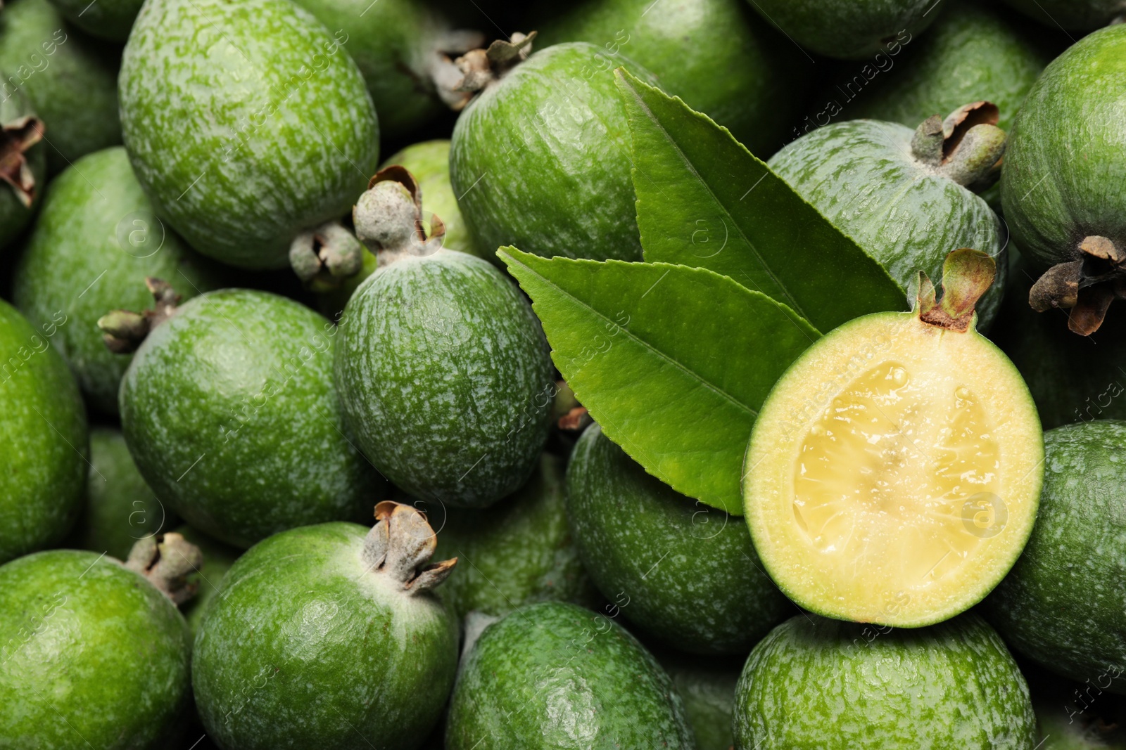 Photo of Fresh green feijoa fruits as background, closeup