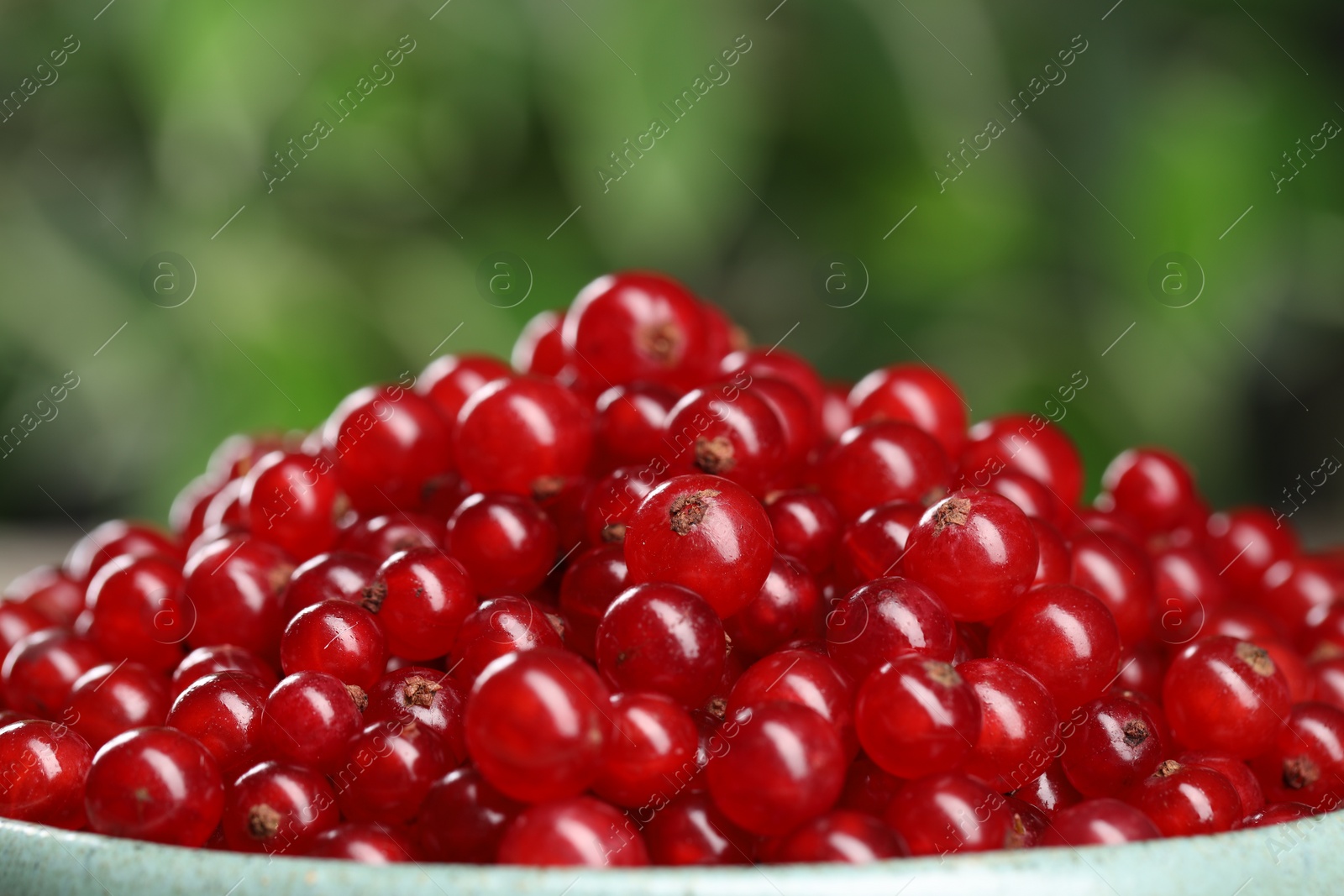 Photo of Ripe red currants on blurred background, closeup