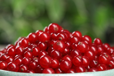 Photo of Ripe red currants on blurred background, closeup