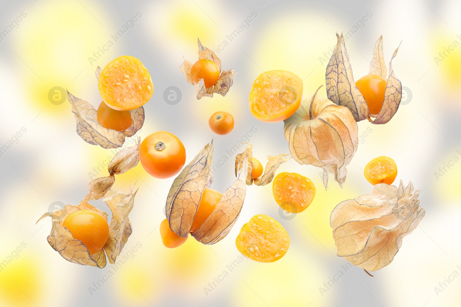 Image of Ripe orange physalis fruits with calyx falling on color background