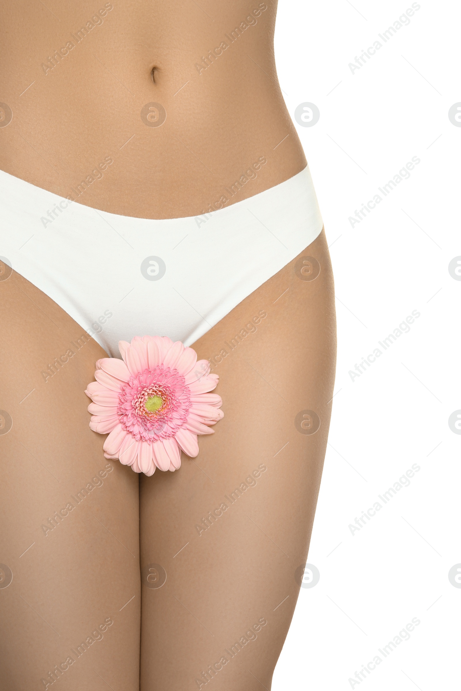 Photo of Gynecology. Woman in underwear with gerbera flower on white background, closeup