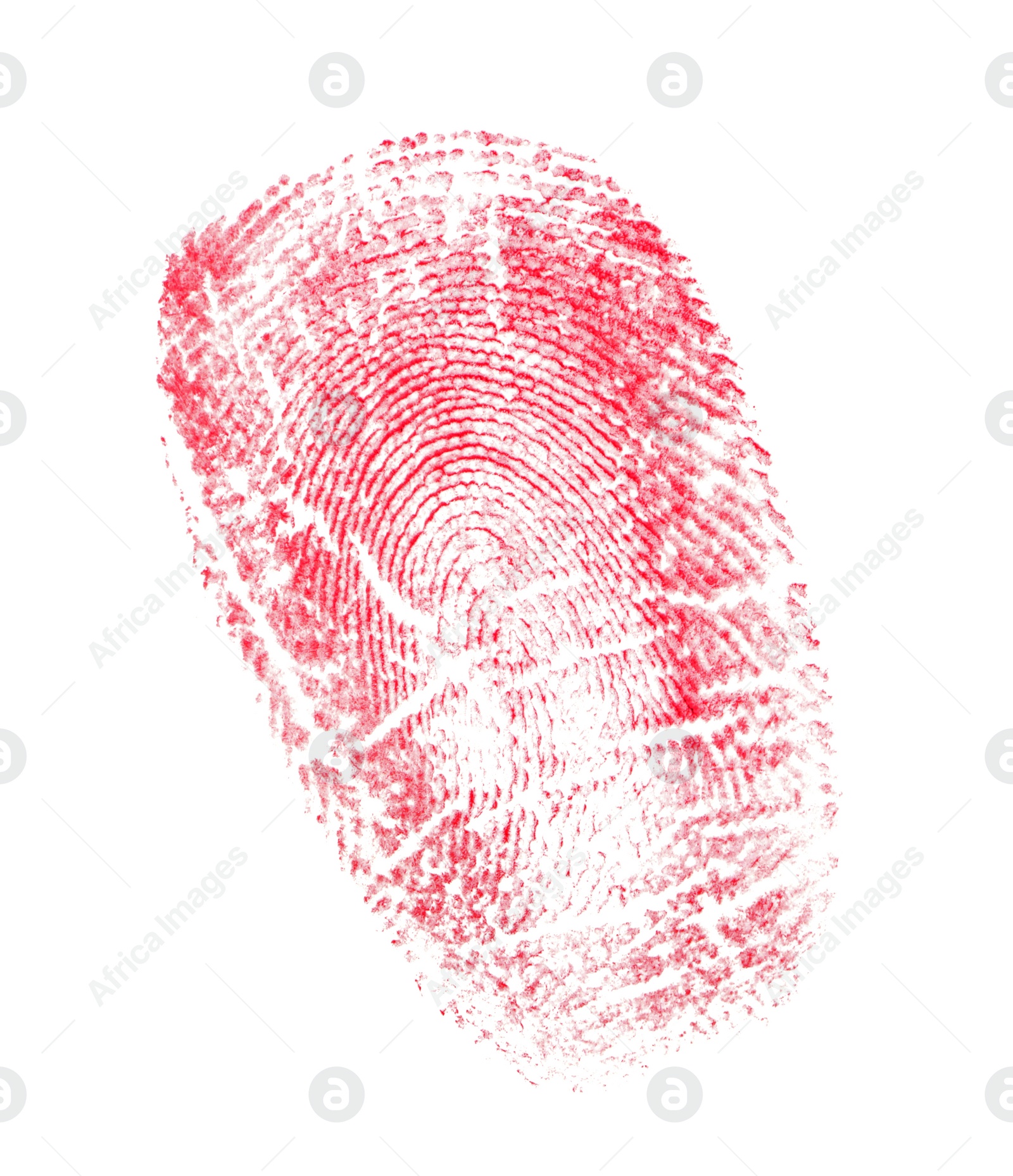 Photo of Fingerprint made with blood on white background, top view