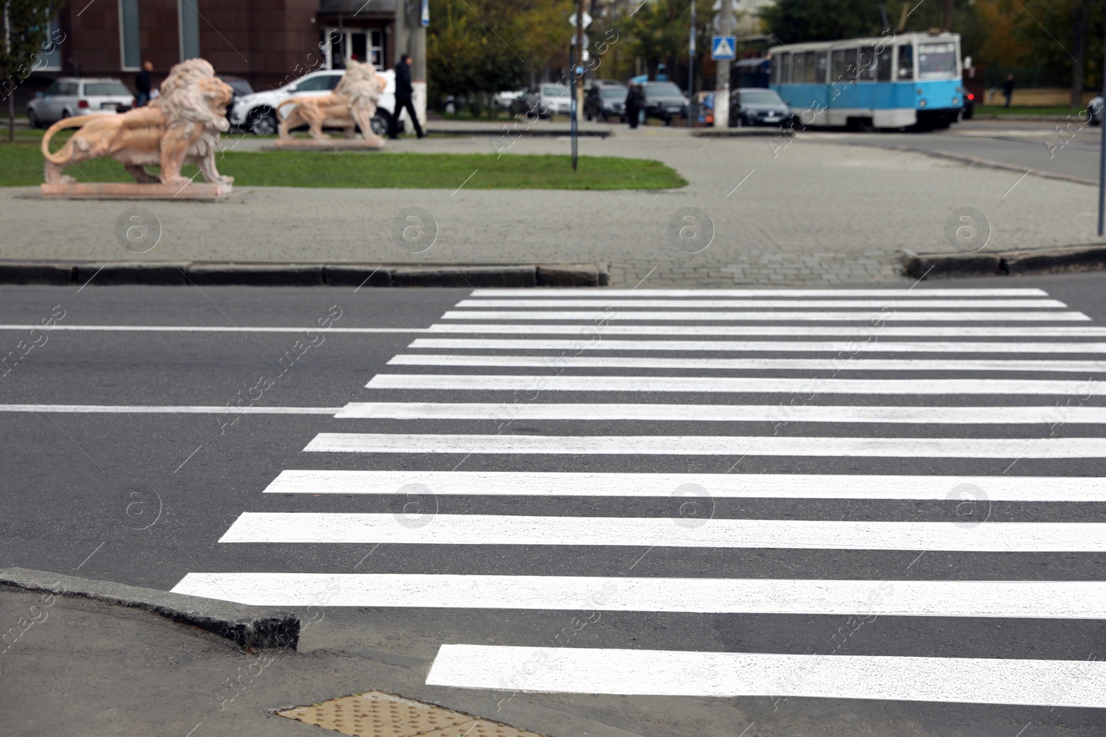 Photo of Pedestrian crossing on empty city street in autumn