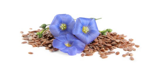 Flax flowers and seeds on white background