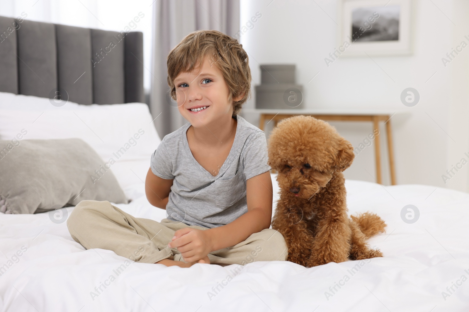 Photo of Little child and cute puppy on bed at home. Lovely pet